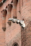 Albi 110911 Cathedrale-Ste-Cecile IMG 7335 Andre-Laffitte