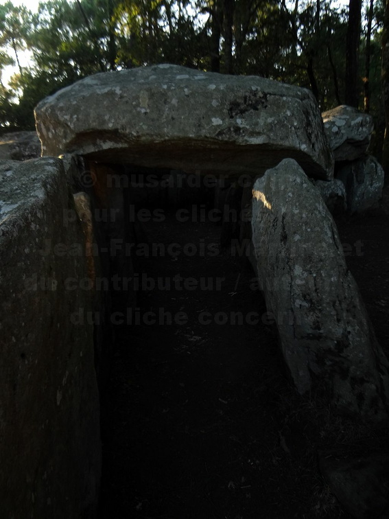 180902 Erdeven dolmen Mane-Groh DSC04812 JFMartine