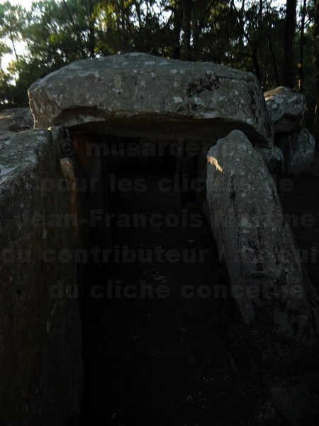 180902_Erdeven_dolmen_Mane-Groh_DSC04812_JFMartine.JPG