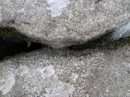 180902 Erdeven dolmen Mane-Groh DSC04821 JFMartine