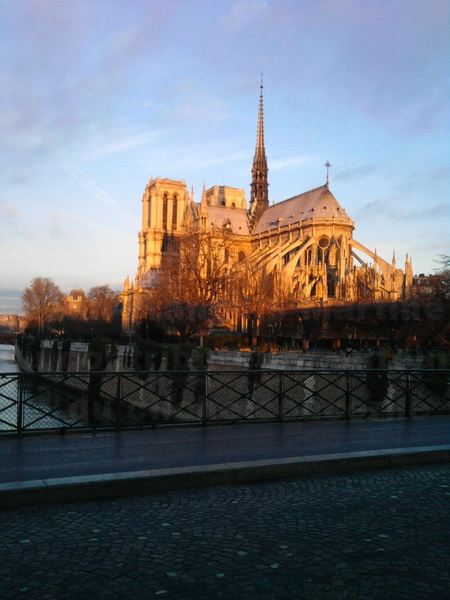 090115_Paris_Notre-Dame_P15-01-09_08.58[01]_JFMartine.jpg